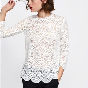 Zara lace top